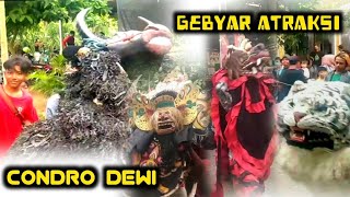 Gebyar Atraksi Jaranan Condro Dewi Live Seneporejo Siliragung