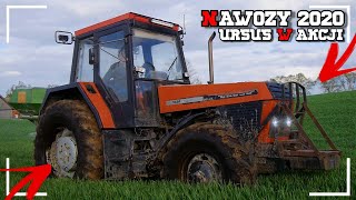 ☆Nawozy na pszenice☆Ursus 1634 & Amazone☆Wiosna 2020☆Agro Koty