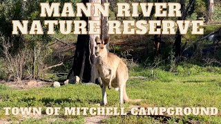 Town of Mitchell Campground Picnic Area - Mann River Nature Reserve along the Old Grafton Road, NSW