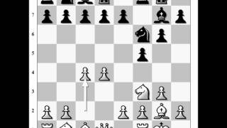 Tata Steel Chess Tournament 14 Jan 2011  Round 2