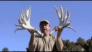 Muley Crazy: GIANT Mule Deer Sheds