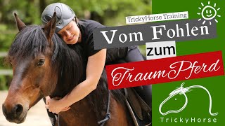 Vom Fohlen zum Traumpferd - TrickyHorse Training