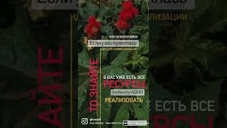 Цель можно достигнуть всегда ❗️см.описание к 📽️ #квантоваяпсихология #эзотерика #цели #достичьцель