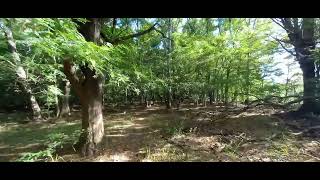 Zona "oculta" de la Reserva Natural de Pilar, desde el Puente Luján FBCC