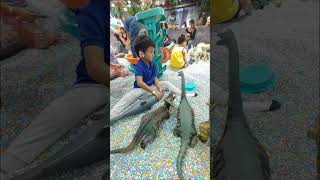 Dino Land SM City North EDSA 24-Sep-2023