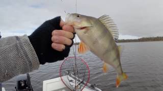 Lake Eppalock catching a few reddies over 30cm - [July 2017]