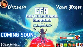 Flowerhorn competition in chennai | CFA presents coming soon