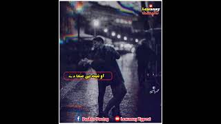 Sad heart touching poetry| Sena ke kanre Garzawe |سينه کښې کاڼړی ګرزوي که پکښې زړۀ ګرزوي|best Poetry