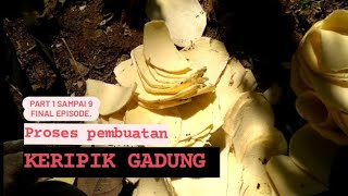 proses pembuatan keripik gadung part 1sampai 9,final episode. #shortvideo #survival #hijautv