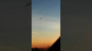 MULTIPLE ORBS @ SUNSET OCT 3, 2017