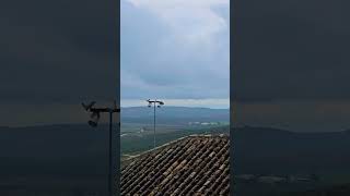 Llueve en la #campiñacordobesa mientras cantan los #pajaros. #montalban #cordoba #andalucia #españa.