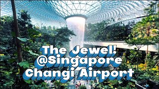 The Jewel @Changi Aiport Singapore🇸🇬 #fyp #fypシ゚viral #singapore #travel #youtubevideo #ytviral