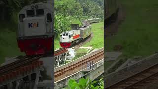 LIUKAN KERETAAPI (ULAR BESI) BEGITU INDAH #kai #keretaapi #keretaapiindonesia #sepur #railroad