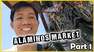 Alaminos Pangasinan Market - Part 1 | Philippines