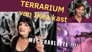 Terrarium van Ikea kast maken met Charlotte