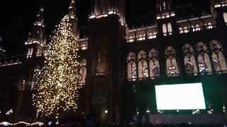 Silvester 2018-2019 Vienna