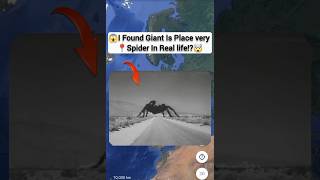 😱I Found Giant Place Spider In Real life!?🤯On Google Earth Universal S2z🌎#maps #earth #spider