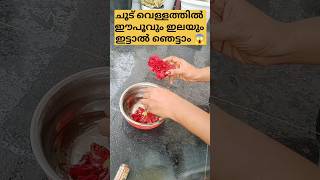 ചൂട് വെള്ളത്തിൽ ഇട്ടുവെക്കൂ 😱/poppy vlogs/sreejina