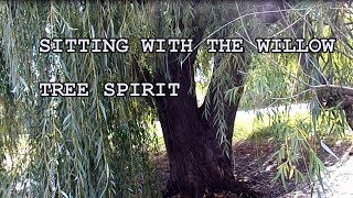 A Somber Experience with a Weeping Willow Tree Spirit, told through poetry and music. #treespirit