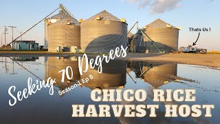 Agrarian Adventures: Unforgettable Stay at Chico Rice Harvest Host