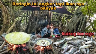 Beringin ini angker tapi ikannya banyak || Mukbang ikan segar masakan liar