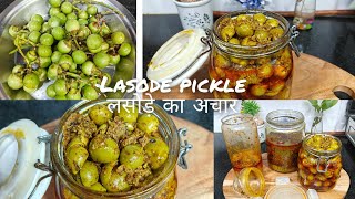 राजस्थानी लसोड़े /लेसवा का अचार | गूंदे का अचार | lasode pickle | lesva/ gunde pickle लबेड़े का अचार