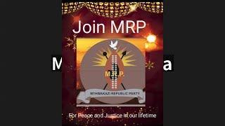 Reasons why people think MRP members like insults- Mfanelo Sibanda