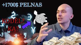 Geriausia Forex Strategija: 1700$ Pelnas ir 60% Sėkmės rodiklis!