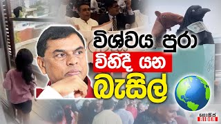 කපුටා නිසා ජනප්‍රියත්වයේ හිනි පෙත්තට ගිය බැසිල් - කපුටු කාක් කාක් කාක්