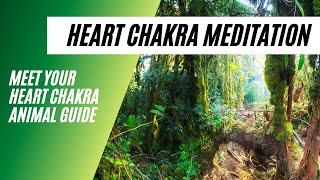 Meet Your Heart Chakra Animal Guide | Reiki Heart Chakra Guided Meditation