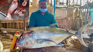 Amazing Fish Cutting Skills | Fish Cutting Live In Fish Market | Fish Cutting Skills | Cutting Video