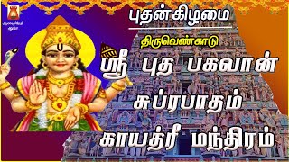 WEDNESDAY SPL | THIRUVENKADU | SRI BUDHA BHAGAVAN SUPRABHATHAM | BUDHA PARIHARA STHALAM | NAVAGRAHAM