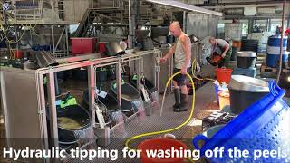 Seed cleaning installation for rinsing and cleaning of vegetable seeds in seed nursery