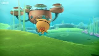 Octonauts -  The Giant Kelp Forest