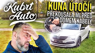 Nepřivezli jsme to už takto od Felixe? Seženete takový Karoq za 25 tis. € v ČR? Nudný VW Passat GTE.