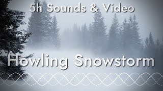 Heavy Snow Storm, Winds Whistling and Howling (5 hours of relaxing sounds and video)