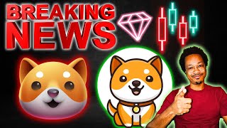 GOOD NEWS FOR BABY DOGE HOLDERS