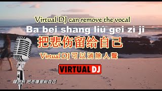 把悲伤留给自己  Ba bei shang liu gei zi ji  for VIRTUAL DJ