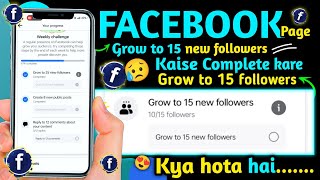 Grow to 15 new followers Facebook Page