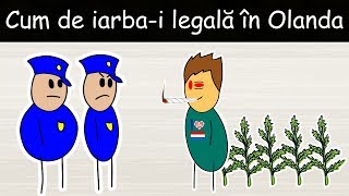 De Ce Este Iarba Legală În Olanda? - DLJ#6