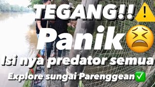 🟤KEREN! ADVENTURE Di parenggean⚠️Ngeri ngeri SEDAP‼️PREDATOR SEMUA ISI NYA⚠️