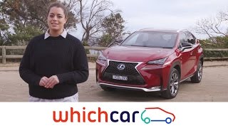 Lexus NX 300h Snackable Review