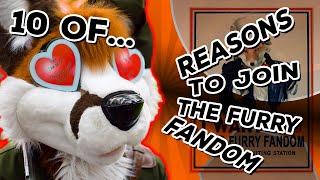 10 of... Reasons to Join the Furry Fandom