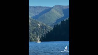 Summer on the lake. Washington