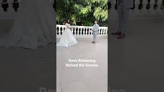 Dove Releasing #wedding