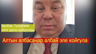 Балбак Түлөбаев: "Алтын албасаңар албай эле койгула"