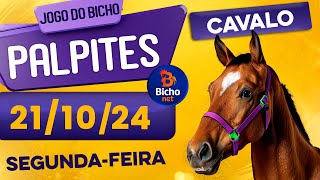 PALPITE DO DIA 21/10/2024 - JOGO DO BICHO 🍀 TODAS AS LOTERIAS 🍀