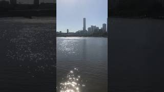 Brisbane River #youtubeshorts #shorts