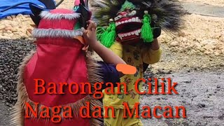 Dolanan Barongan Cilik.. Mbabar Peranga2an Seru Banget..!!