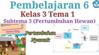 Materi kelas 3 Tema 1 Subtema 3 (Pertumbuhan Hewan ) //Pembelajaran 6